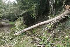 WhatsApp-Image-2020-10-02-at-13.08.33-2